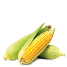 Qarğıdalı <br/> (100-200 kq/ha)