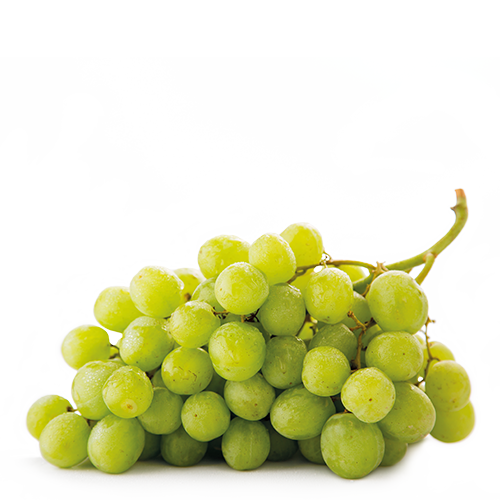 Üzüm (100 - 350 kq/ha)
