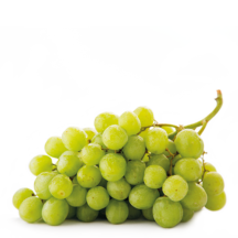Üzüm