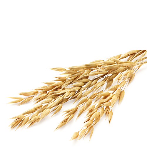 Dənli bitkilər (50-150 kq/ha)