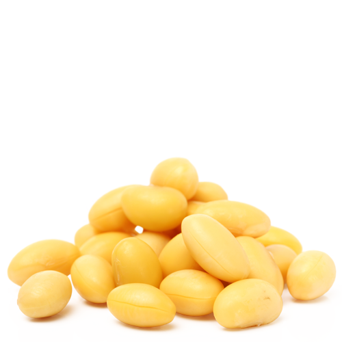 Soya